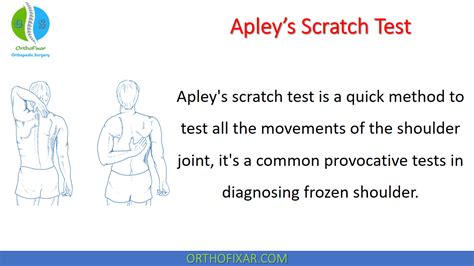 positive apley scratch test